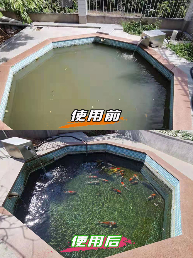 鱼池使用前水质浑浊