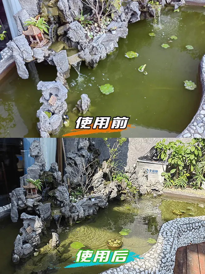 假山鱼池过滤净化案例