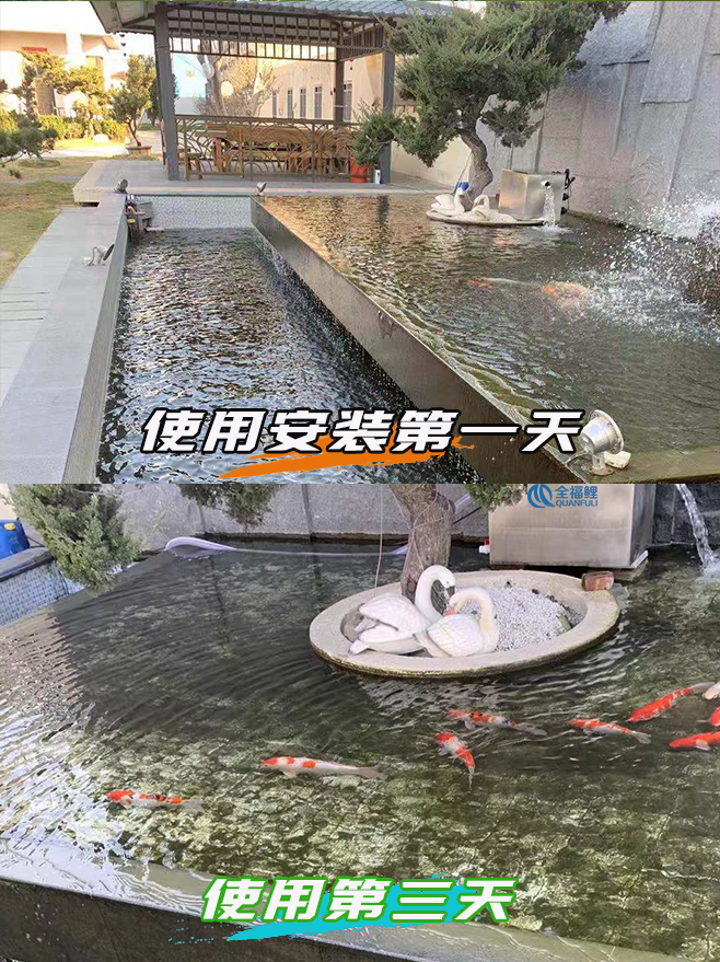 使用一周后水质改善