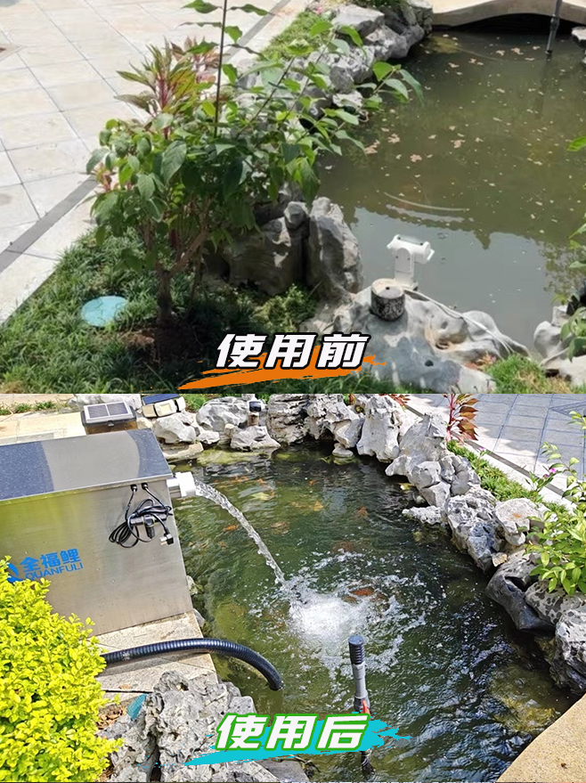 绿植旁鱼池使用前后对比