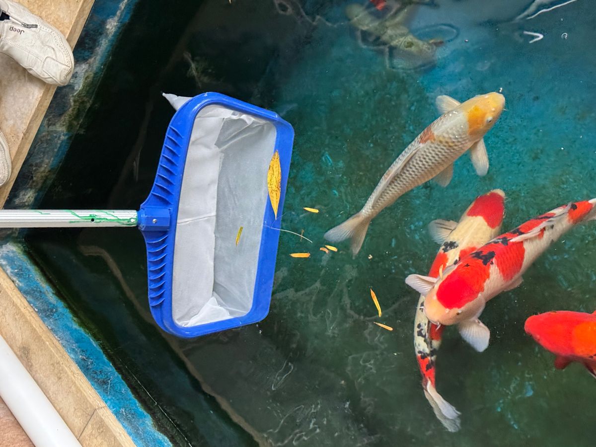 捞网多规格展示