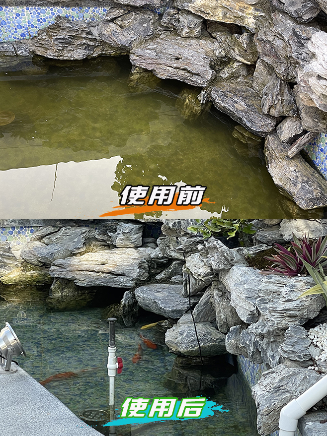 三个月后水质依然清澈